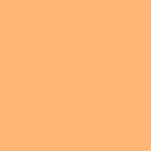 204 – Full CT Orange
