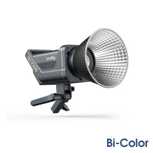 RC 220B Point-Source Video Light 3621